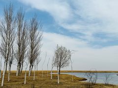 -黑龙江扎龙生态旅游区