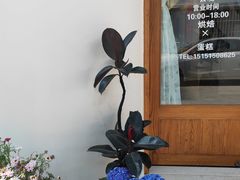 -云境cloudland·口味蛋糕•下午茶(长江路店)