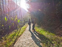 -千泷沟大瀑布旅游区