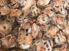 -宜宾海鲜酒家·三十年老字号