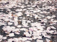 -杭州少年儿童公园