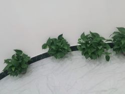 -SOR索尔祛痘·面部肌肤管理