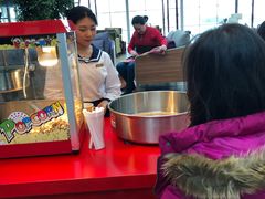 -苏州金鸡湖中茵皇冠假日酒店