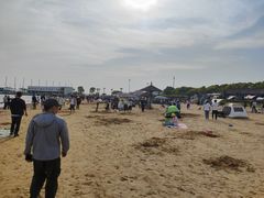 -碧海金沙