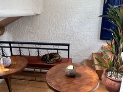 -Sirena海妖日咖夜酒