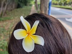 -三亚湾皇冠假日度假酒店·临风大堂酒廊