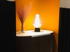 -阿妮叶李(光谷世界城店)