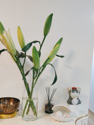 -美肤盾祛痘·问题肌头疗管理中心