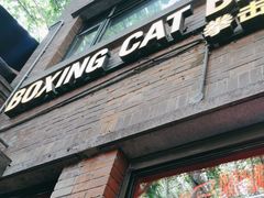 -Boxing Cat Brewery拳击猫精酿啤酒馆(永福店)