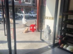 -巢湖名吃·东关老鹅汤(江南风情街店)