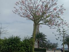 -亚龙湾中心广场