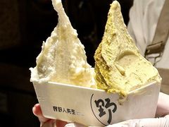 -野人先生现做冰淇淋(北京王府井东方新天地店)