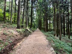 -罗田薄刀峰风景区