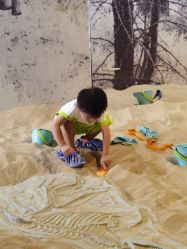 -恐龙探索乐园(磁器口店)