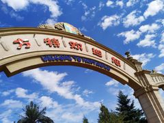 -青岛方特梦幻王国