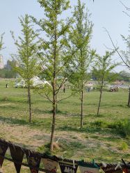 -268童话露营农场·烧烤·团建