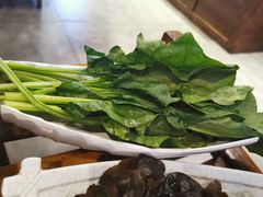 菠菜-亿诣蝎府炸酱面羊蝎子火锅(酷车小镇店)