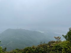 -梧桐山风景名胜区