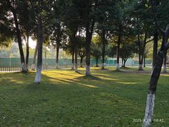 -成都南湖公园