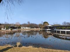 -尚湖风景区