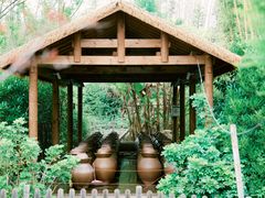 -Apple零售店(成都太古里店)