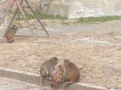 -哈尔滨北方森林动物园
