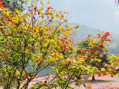 -广州市石门国家森林公园