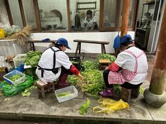 -龙井草堂