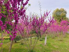 -狼山风景名胜区