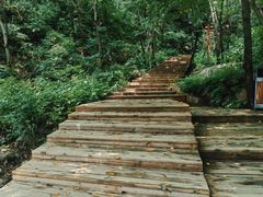 -大岭沟猕猴桃谷风景区