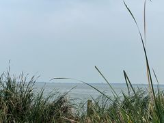 -阳澄湖半岛旅游度假区