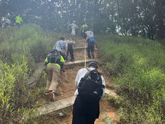 -黄埔油麻山森林公园