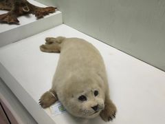 -国家自然博物馆