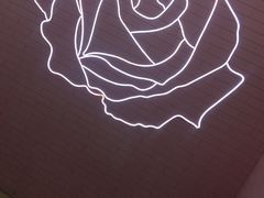 -Dior迪奥(上海世茂广场店)