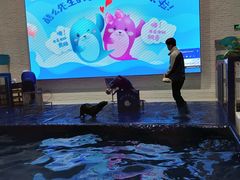 -Mr·Kuma酷么先生雪之乐园