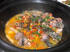 砂锅甲鱼-湘水谣(芙蓉店)