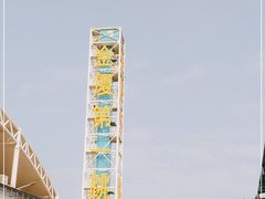 -巨鹏飞梦幻海岸