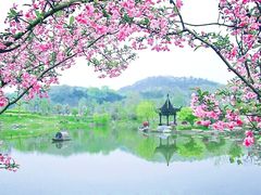 -南山风景名胜区