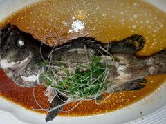 -广东道至正餐厅(区庄店)