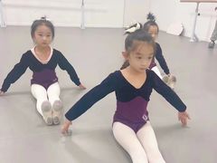 -西安小天鹅艺术团(金花路校区)