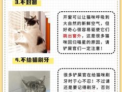 -宠物寄养训练学校