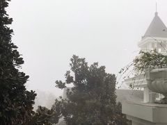 -随州碧桂园凤悦凤凰酒店