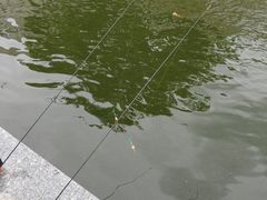 -DGE季风钓虾营地·团建·聚会