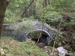 -牛背梁国家森林公园