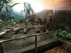 -陕西自然博物馆