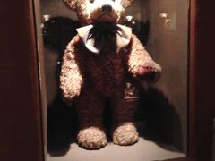 -济州岛泰迪熊博物馆