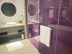 -南京禄口机场雅高铂尔曼大酒店