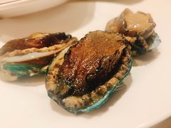 活鲍鱼-五月罗马海鲜自助餐厅(陆家嘴店)