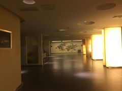 -深圳东部华侨城茵特拉根酒店
