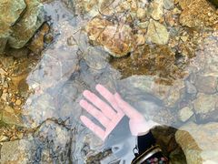 -牛鱼嘴原始生态风景区